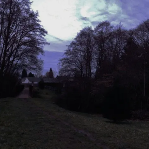 evermore cover art