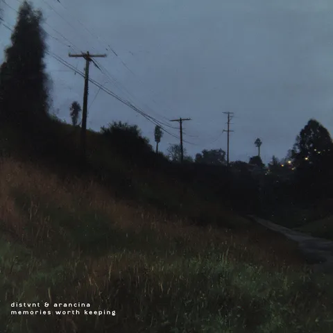 memories worth keeping cover art